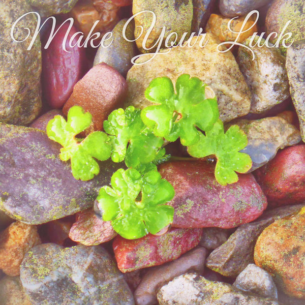Make Your Luck